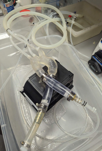 Research Photo 1